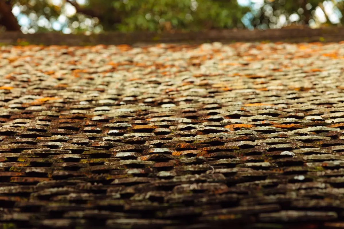 Emergency Tarping in Salinas, CA